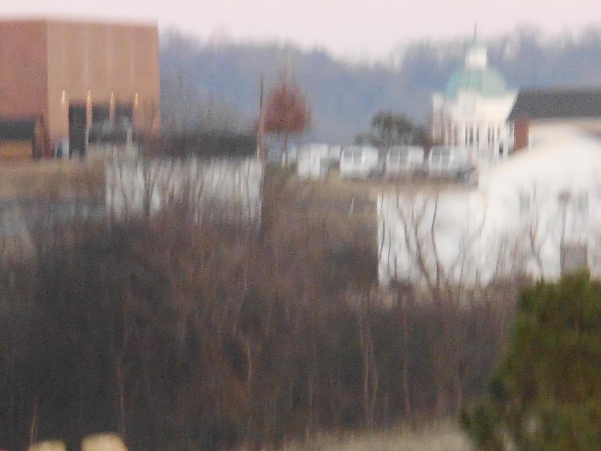 Giles Hotel Inn And Suites Pulaski Esterno foto